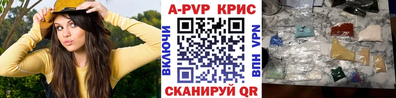 Альфа ПВП СК КРИС  Майкоп 