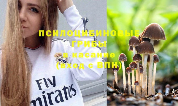 круглые Богданович