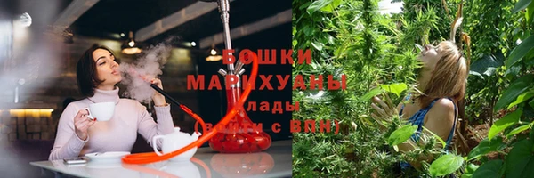 кокс Богородицк