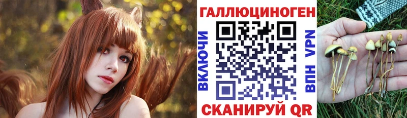 Псилоцибиновые грибы Psilocybine cubensis  цены наркотик  гидра ссылки  Майкоп 