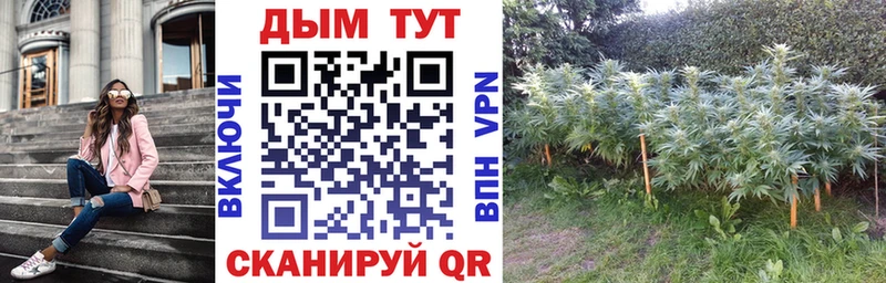 купить закладку  Майкоп  mega сайт  Каннабис OG Kush 